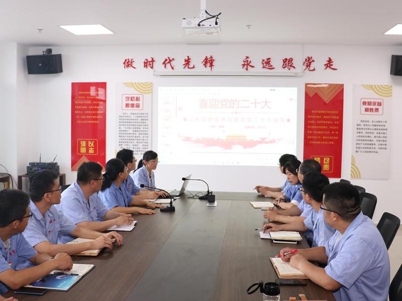 天瑞重工党支部召开会议传达学习省第十二次党代会精神